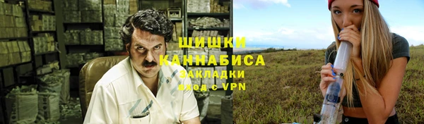 бошки Алексин