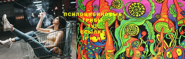 амфетамин Алексеевка
