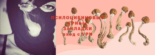 бошки Алексин