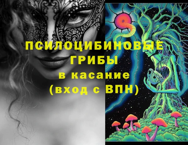 бошки Алексин