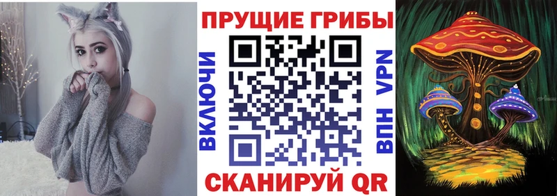 сколько стоит  Данилов  Псилоцибиновые грибы MAGIC MUSHROOMS 